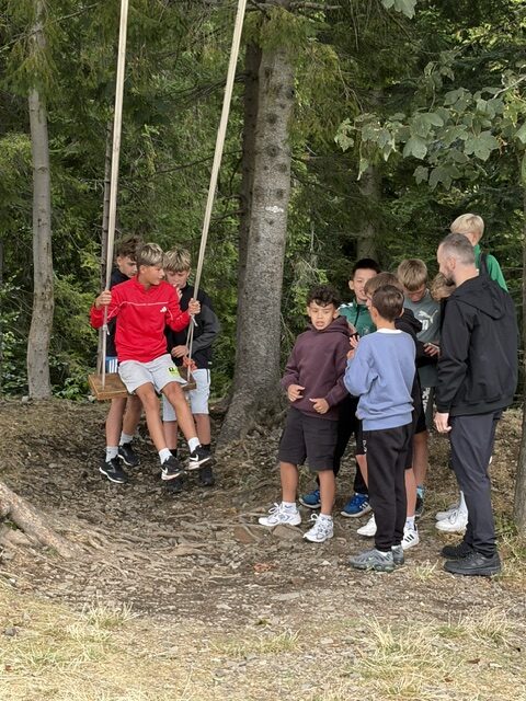 Image12