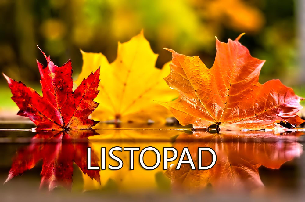 Gify-listopad